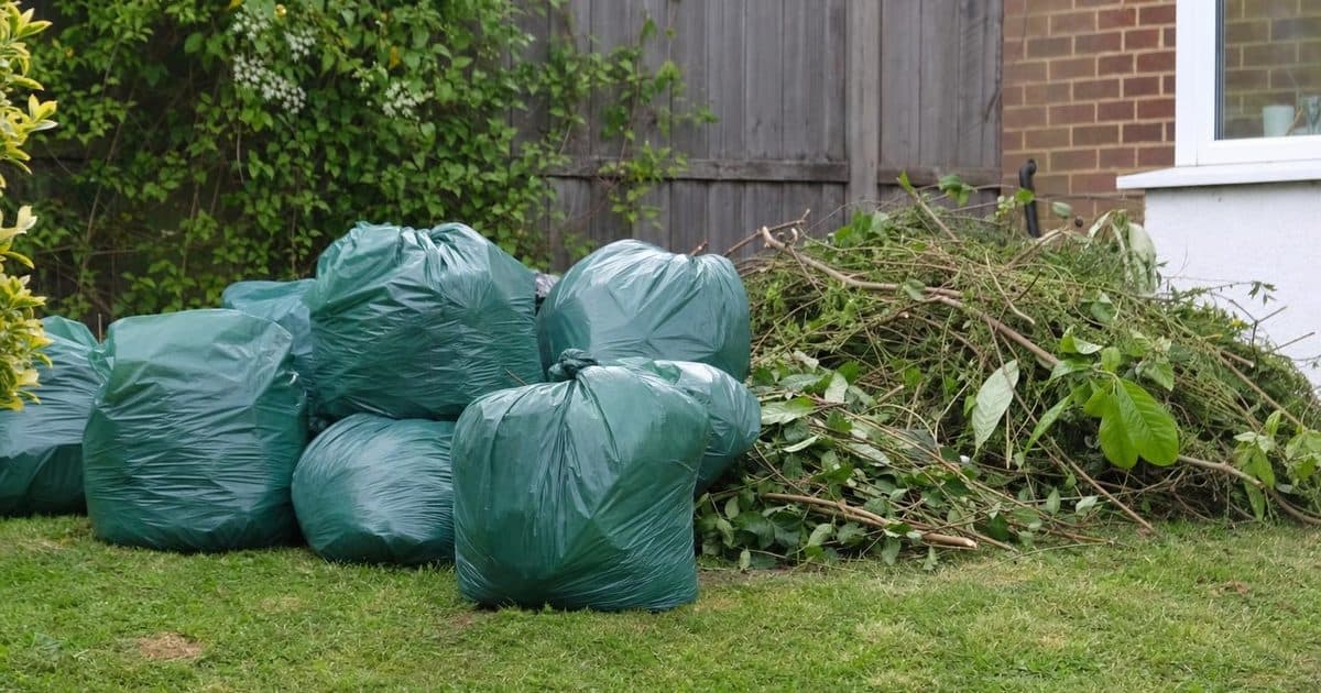Bags of garden waste and cut branches after a garden clear-up in Eastbourne
